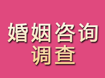 霍林郭勒婚姻咨询调查