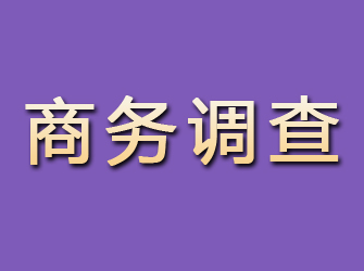 霍林郭勒商务调查